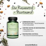 Reduceri medicale: Trans-Resveratrol Extract Concentrat 500mg + Nicotinamide 60 Capsule