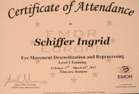 DE CE ÎȚI RECOMAND TERAPIA EMDR (Eye Movement Desensitization and Reprocessing / Desensibilizare și reprocesare prin mișcări oculare)
