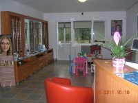 PIRGA HORIA ALEXANDRU