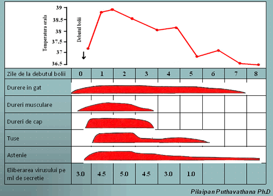 Evolutia simptomelor in gripa A/H1N1